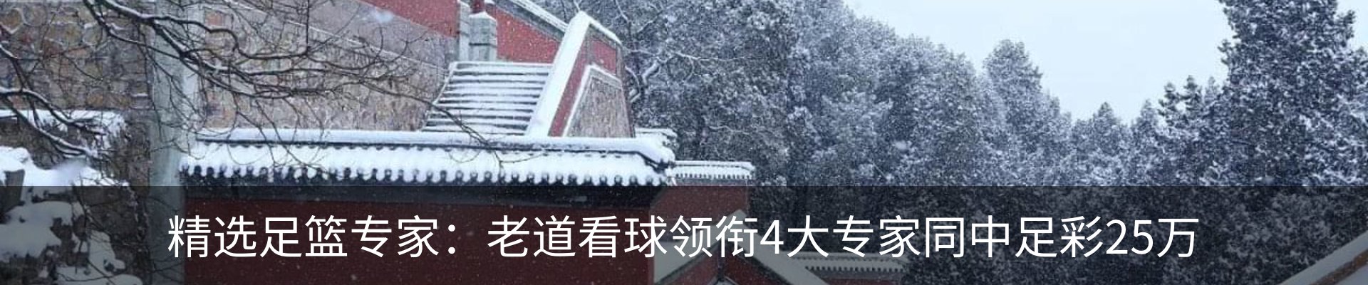 内页banner